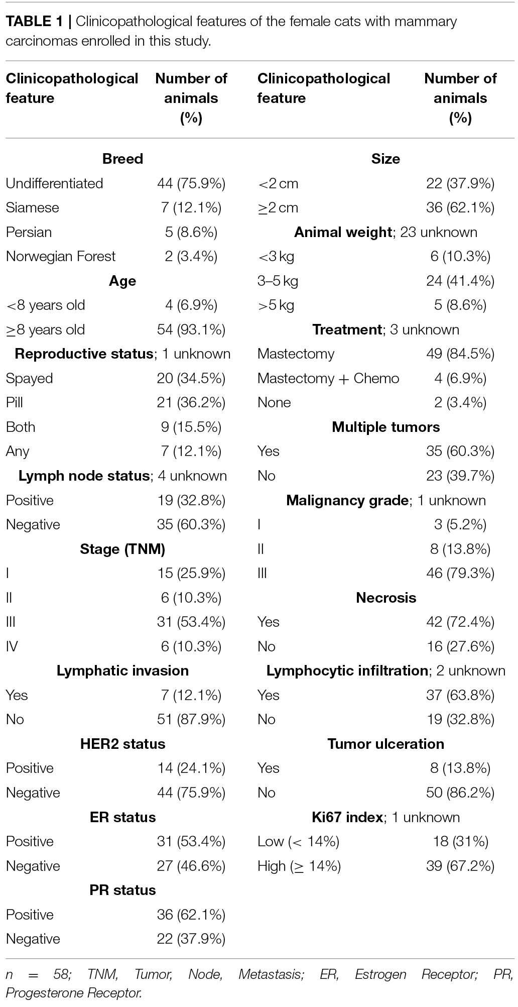 Obesity is an established risk factor for breast cancer in post-menopausal women, being associated with elevated serum levels of leptin.