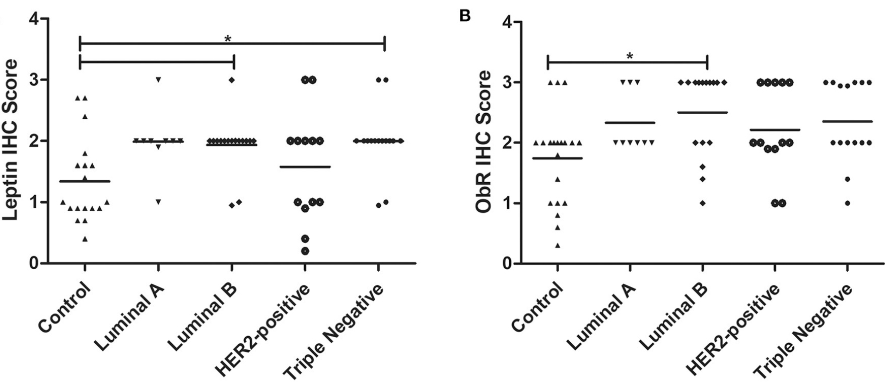 Obesity is an established risk factor for breast cancer in post-menopausal women, being associated with elevated serum levels of leptin.