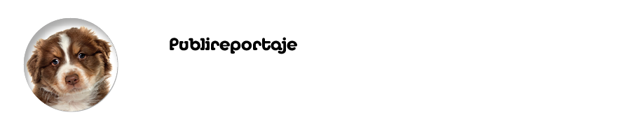 Publireportaje La diabetes en los animales de compa  