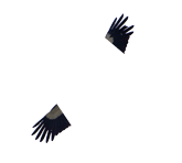 White Stork (Ciconia ciconia) flying in the sky 