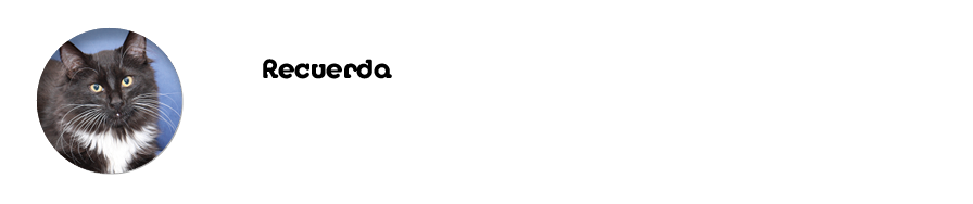 Recuerda El Maine Coo