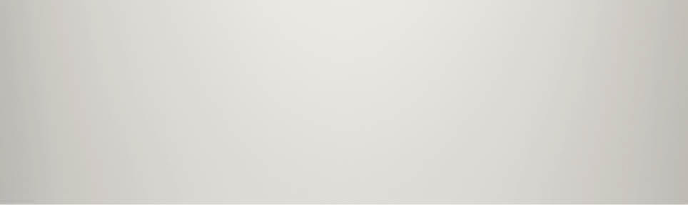 incredible diversity of dogs. the beauty of breed diversity in the pet world.