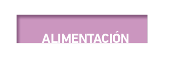 alimentaci 