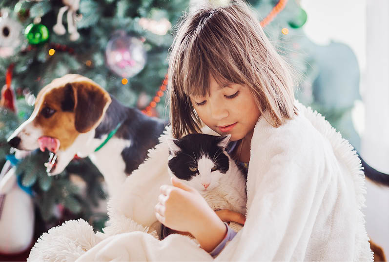 The pretty girl embarcing a cat