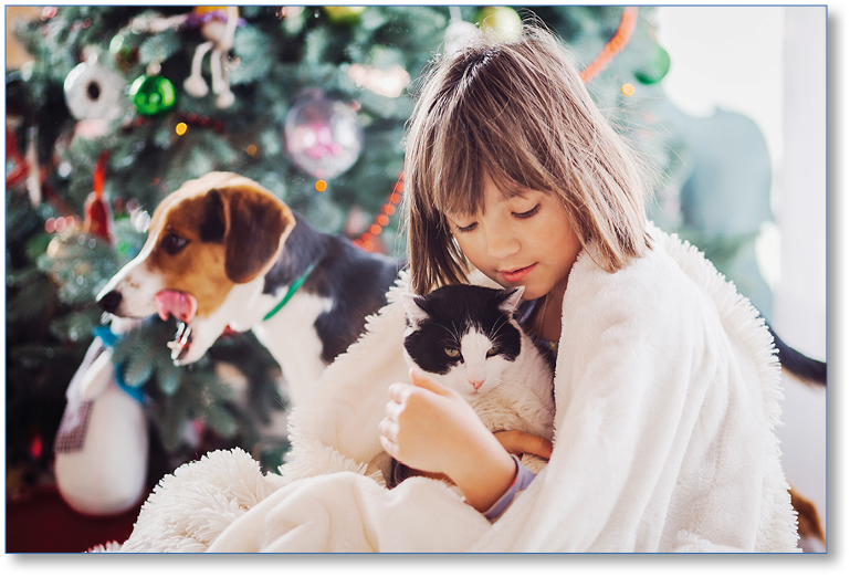 The pretty girl embarcing a cat