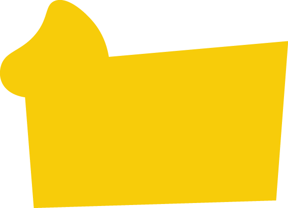 Polygon