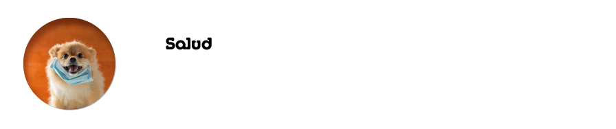 Salud El Coronavirus canin