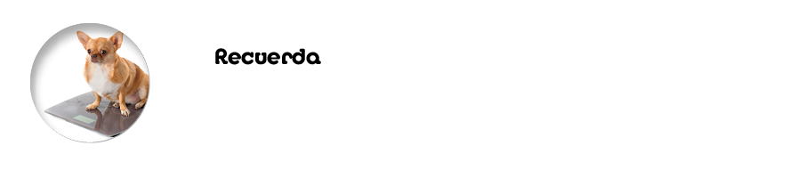 Recuerda  C mo notar si nuestro perro o gato empienza a pesar demasiado