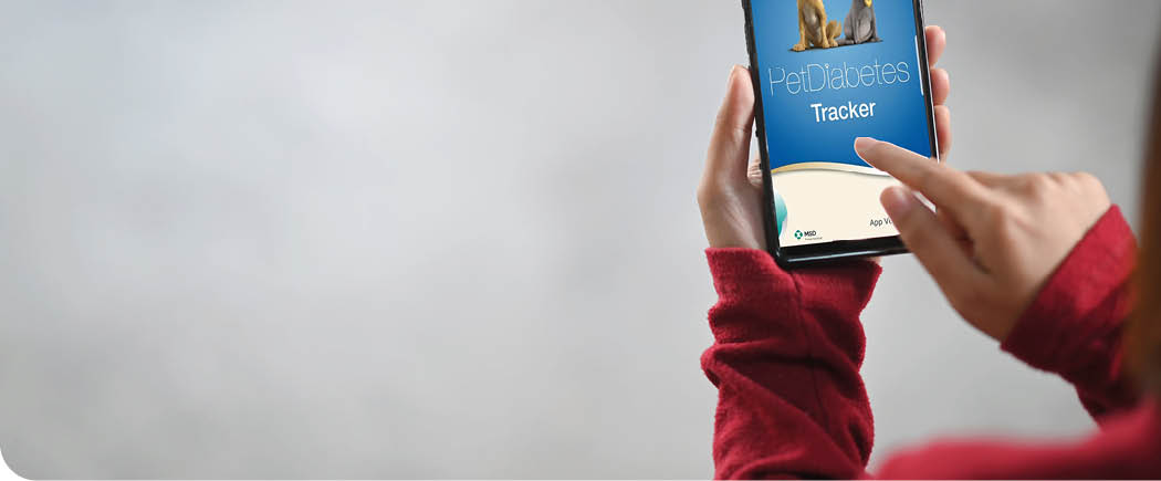 Cropped shot woman using her smartphone with isolated white screen and copy space with floor 