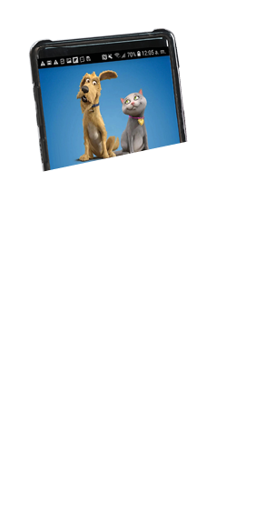 Cropped shot woman using her smartphone with isolated white screen and copy space with floor 