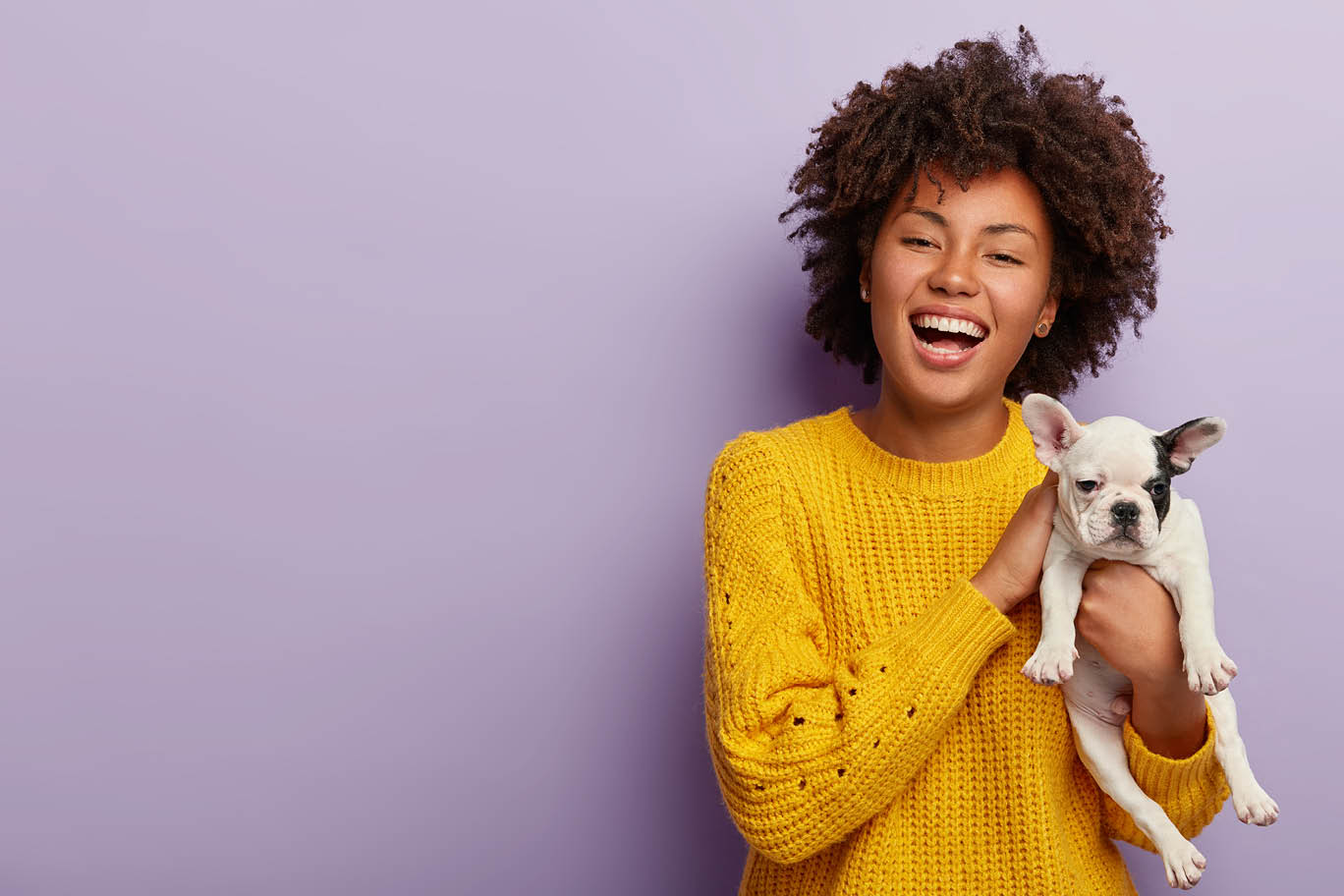 Inspired positive dark skinned woman enjoys pets company, teases small dog puppy, wears casual jumper, stands against purple studio background with empty blank space for your promotion or advert