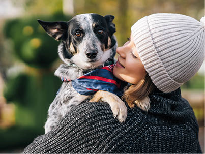 A girl is holding a mongrel dog in her arms  Mistress and home pet for a walk in the autumn park  Caring for animals 