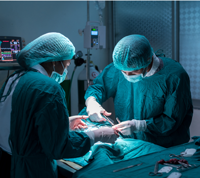 veterinary or doctor have to surgery sterilization on pet in operating room animal hospital, dog in a veterinary surgery 