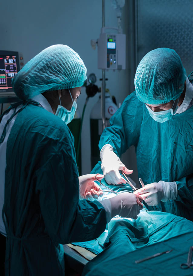 veterinary or doctor have to surgery sterilization on pet in operating room animal hospital, dog in a veterinary surgery 