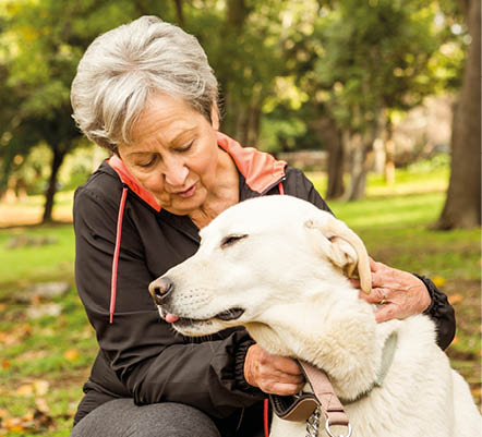 Senior woman in the park on an autumns day