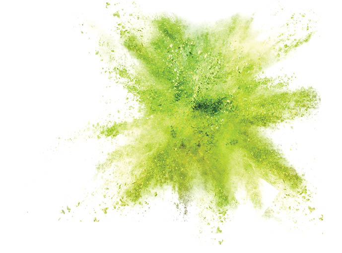 Explosion of colored powder on white background