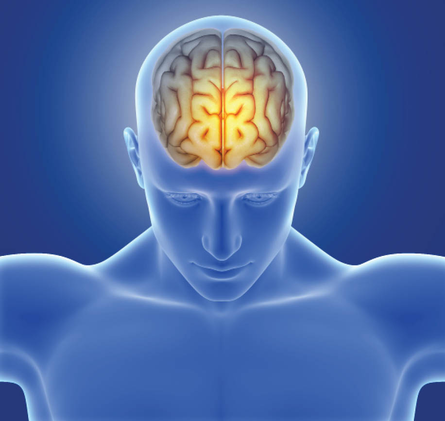 3D render of a medical image of a male figure with brain highlighted