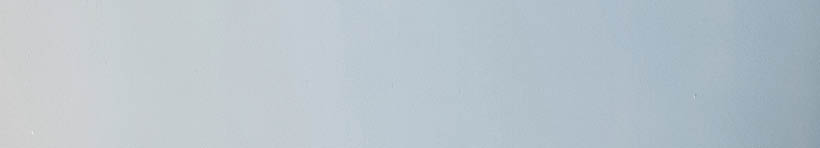 Beautiful woman with child  Woman in a white shirt  Family playing with big dog 